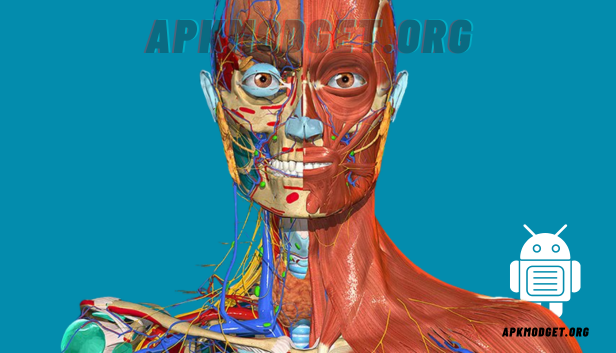 Anatomy Learning – 3D Anatomy v2.1.449 MOD APK (Full version Unlocked)