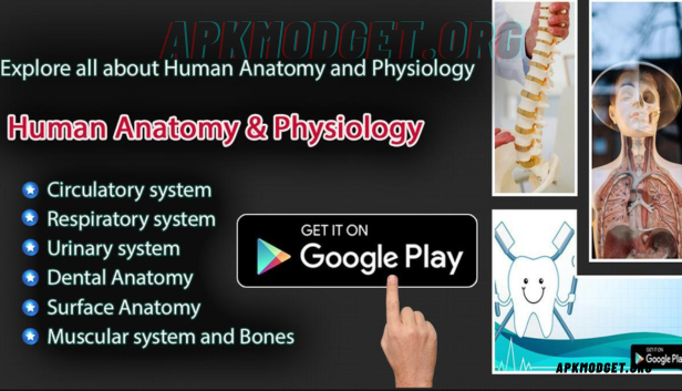 Anatomy Learning – 3D Anatomy v2.1.449 MOD APK 